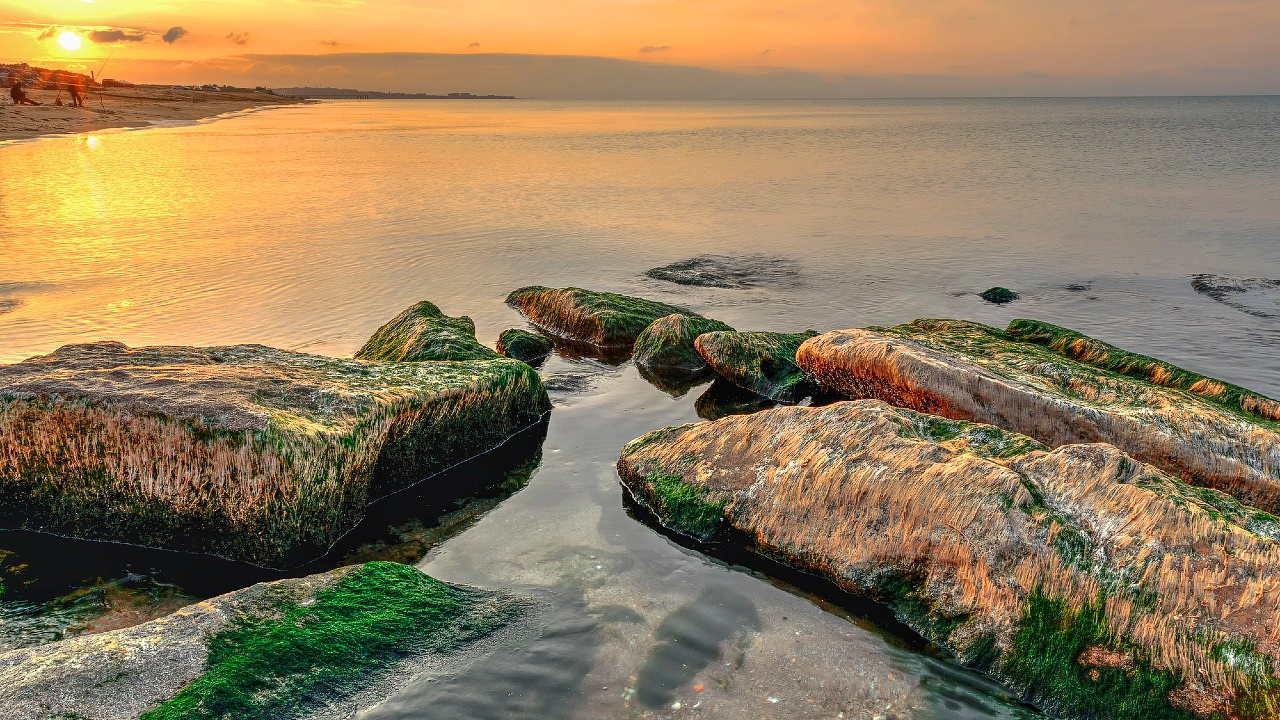 Изображение 1 для Казахстан обратится к России из-за обмеления Каспия