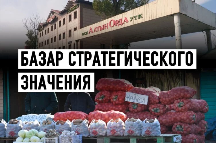 «Алтын Орда»: Болат Назарбаев как гарант социальной стабильности? - изображение 1