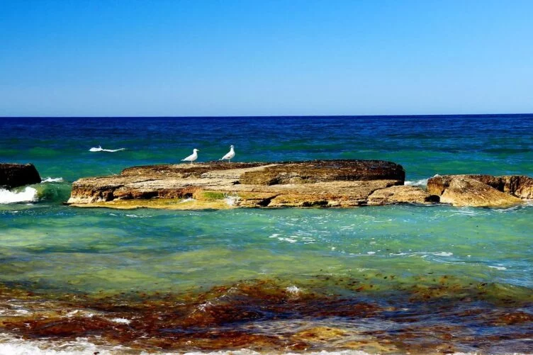 Изображение 1 для Маңғыстау облысында ауыз су мәселесі жылдан жылға ушығып барады