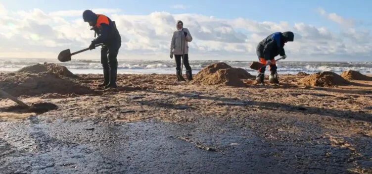 Волонтёры сообщили о сохраняющихся проблемах в уборке мазута в Краснодарском крае - изображение 1