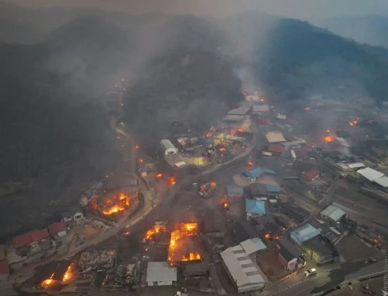 В Южной Корее в результате лесных пожаров погибли минимум 18 человек - изображение 1