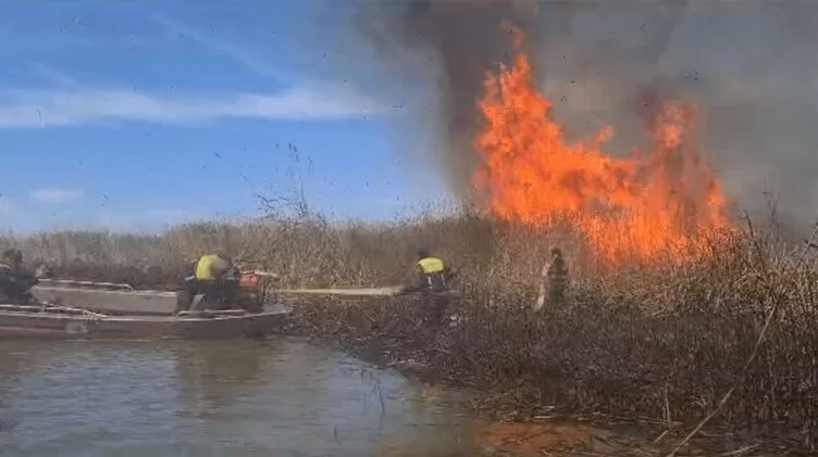 Локализованы два пожара в заповедниках - изображение 1