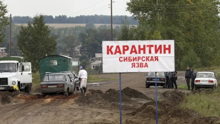 Заражение сибирской язвой в Акмолинской области подтвердили в Минздраве - изображение 1