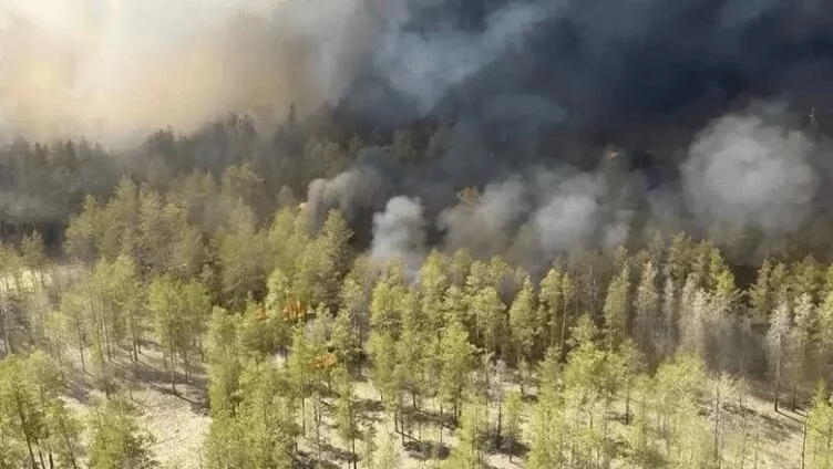 Весь ущерб от пожара в Абайской области выплатит экс-глава «Казавиалесоохраны» Талгат Алиев - изображение 1