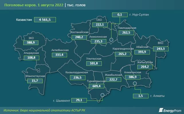 Поголовье коров растет, а вот производство молочной продукции – в минусе - изображение 1