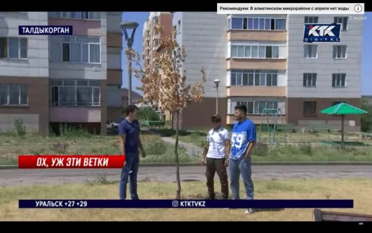 В Талдыкоргане массово гибнут растения из-за несостоявшегося тендера - изображение 1