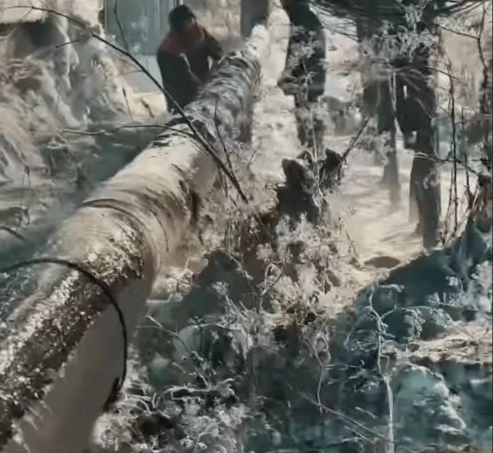 В селах Жамбылской области почти тысяча домов остаются без газа из-за выхода газопровода из строя - изображение 1