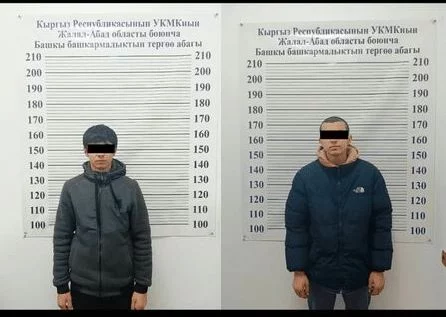 В Кыргызстане предотвратили теракт у елки и вооруженное нападение на храм - изображение 1