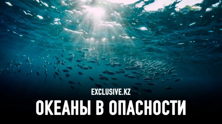 Страховщики должны помочь развитию синей экономики - изображение 1