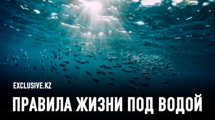 Новые подходы к финансированию океанов - изображение 1