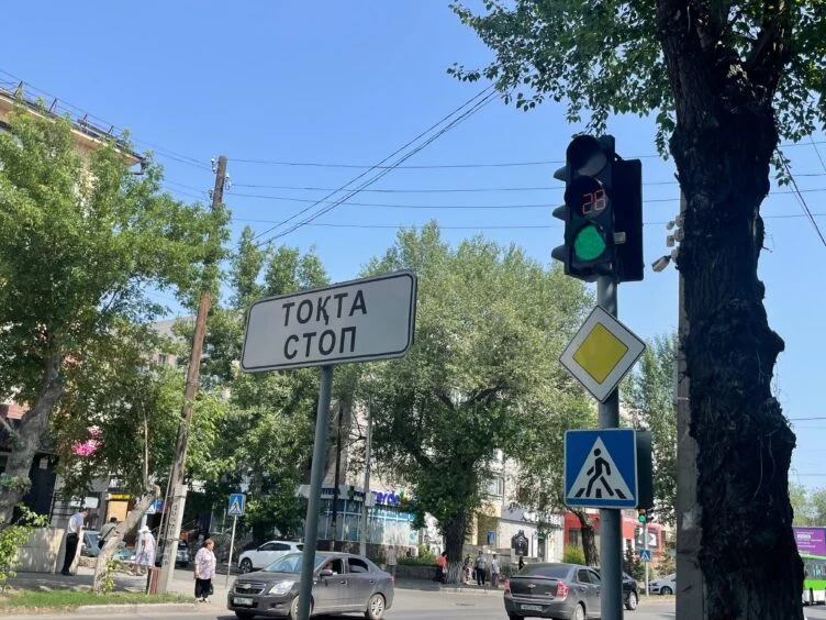 Изображение 22 для Смертельно опасные улицы: как Vision Zero может изменить дороги в Казахстане