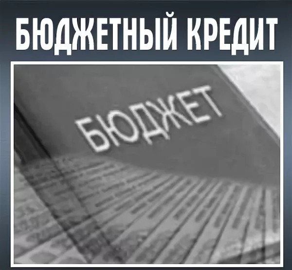 Правительство сократило список агентств для бюджетных кредитов без залога: осталось четыре - изображение 1