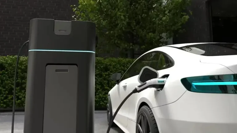 В Казахстане закончилась квота на льготный ввоз электромобилей - изображение 1