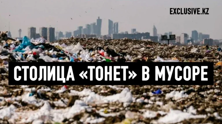 Социал-демократы взялись за избавить Астану от мусорных свалок - изображение 1