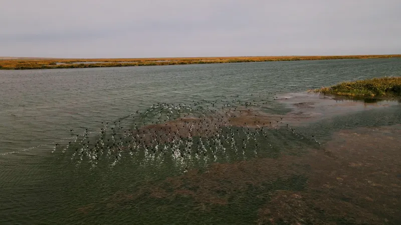 Изображение 1 для Строительство двух новых водохранилищ начнется в Жамбылской области в 2026 году