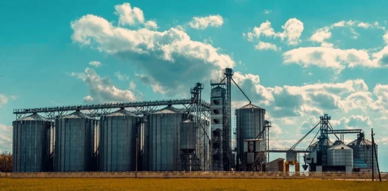 HopefullGrain & Oil Group планирует построить на севере Казахстана ТЭЦ и завод за $1,5 млрд - изображение 1