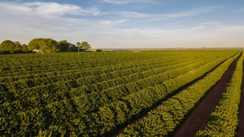 Швейцарские инвестиции в агросектор Казахстана превысят $700 млн - изображение 1