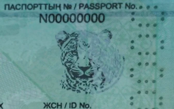 Казахстанский паспорт укрепил позиции в мировом рейтинге - изображение 1
