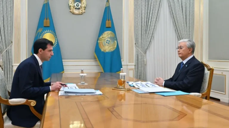 Токаев принял председателя совета директоров Qarmet - изображение 1