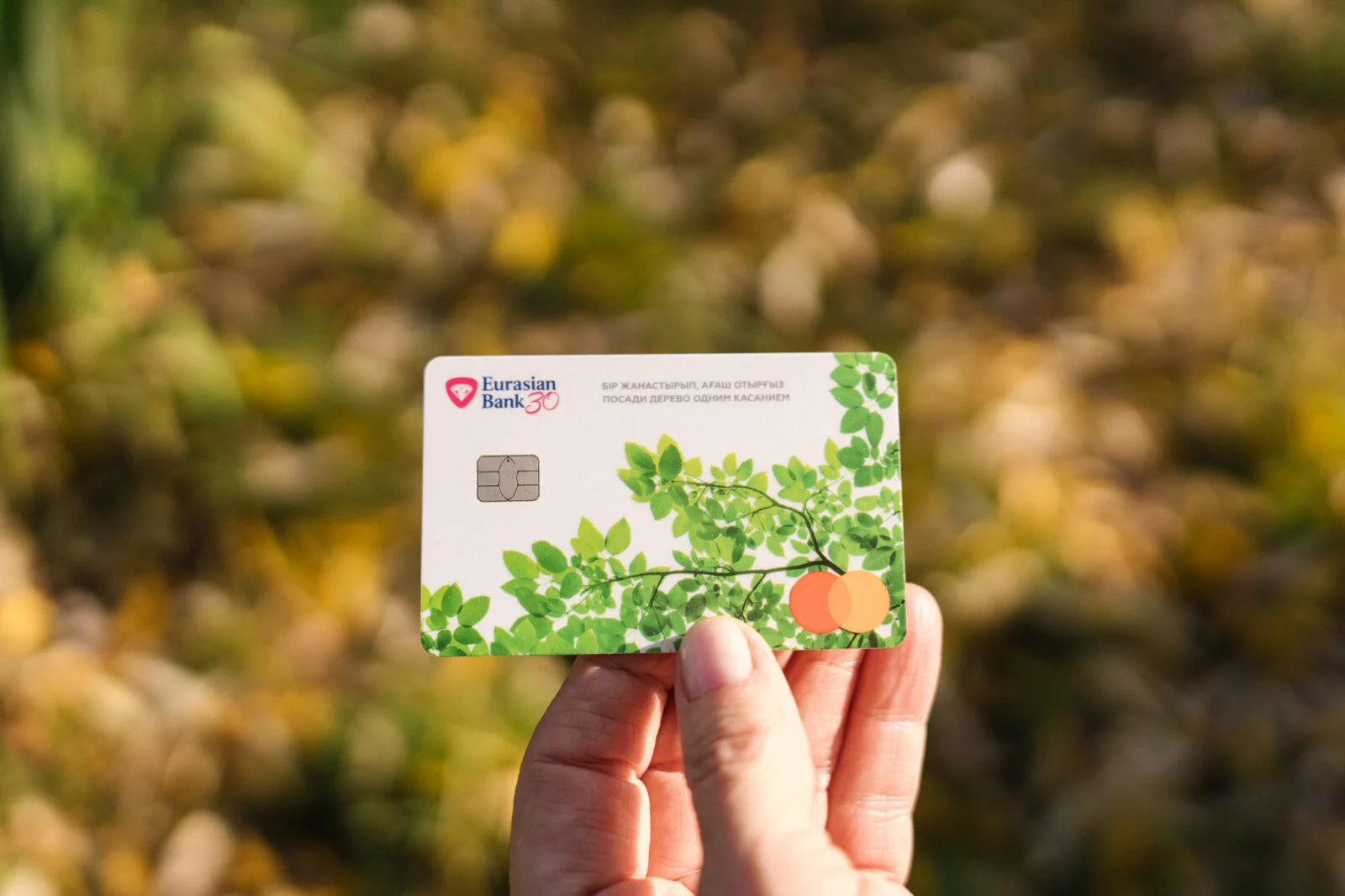 Изображение 2 для Как покупки казахстанцев меняют мир к лучшему?