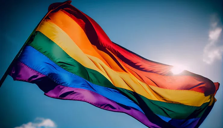 Сенат разъяснил порядок рассмотрения законопроекта о запрете «пропаганды ЛГБТ» - изображение 1