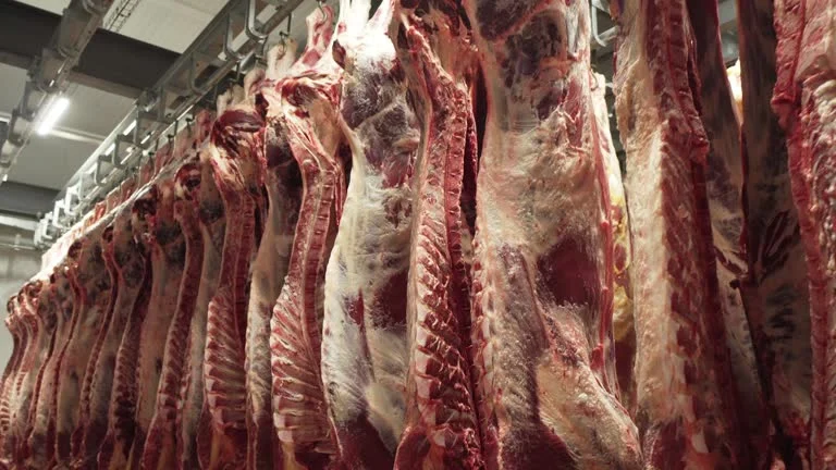 75 тонн высококачественной говядины почти на 300 млн тенге закупает Дирекция зданий Администрации Президента и Правительства РК - изображение 1