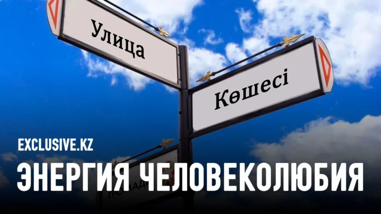 Почему Ататюрк выбрал казахский язык для очищения турецкого от арабизмов? - изображение 1