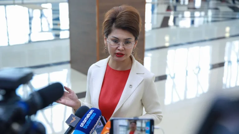 Балаева рассказала о создании новых медиа в Казахстане - изображение 1