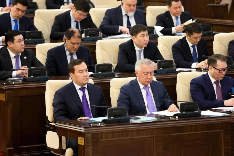 Госаудит выявил серьезные недостатки в системе господдержки бизнеса в Казахстане - изображение 1