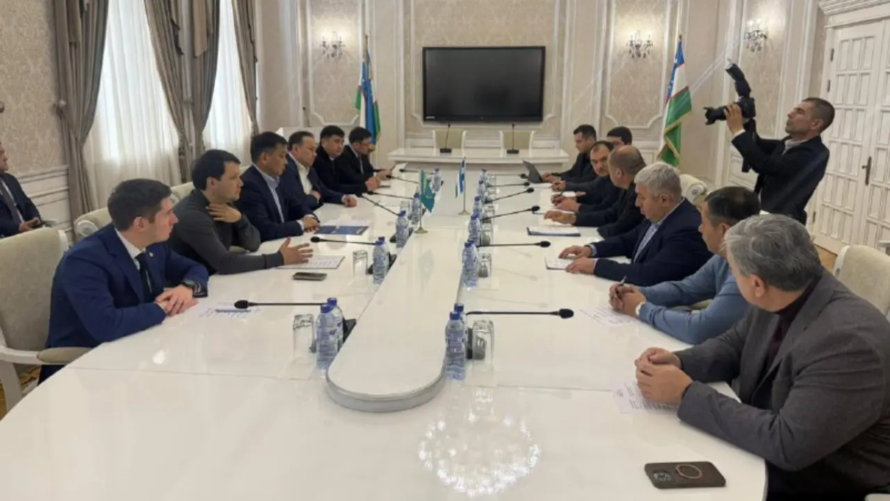 Изображение 1 для Казахстан и Узбекистан договорились об увеличении перевозок зерна через Сарыагаш