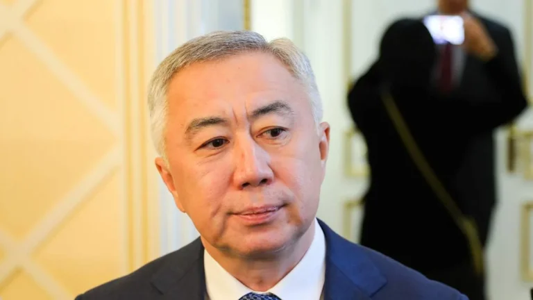 Министр национальной экономики Серик Жумангарин первым из министров опубликовал налоговую декларацию - изображение 1