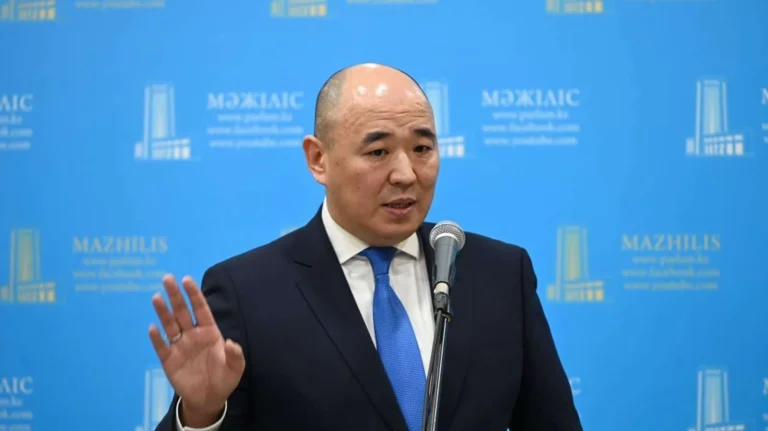 СМИ сообщили о смене главы «Атамекена», но сама палата хранит молчание - изображение 1