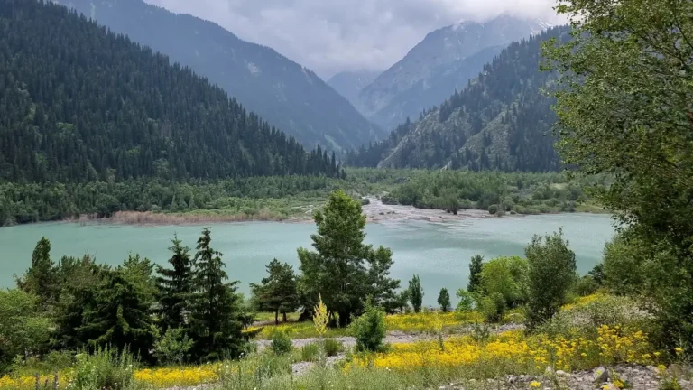 800 тысяч га земель олигополий вернули государству - изображение 1