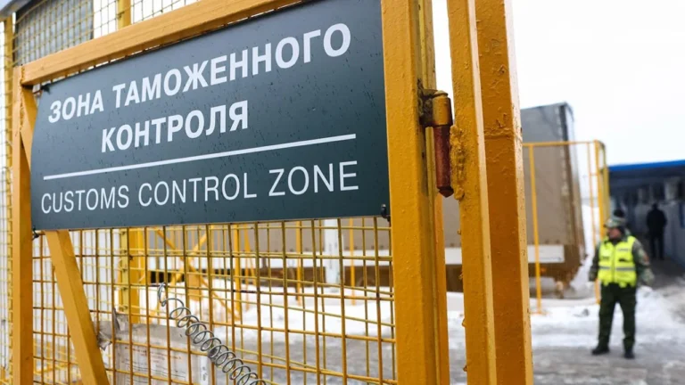 Россия блокирует продажи товаров, ввезённых через ЕАЭС - изображение 1