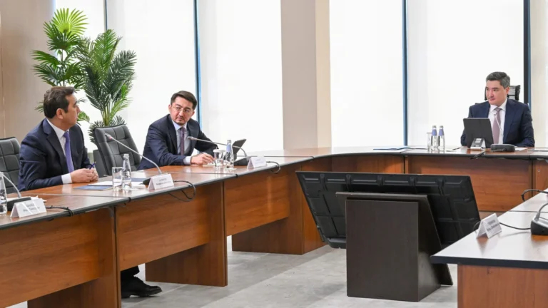 Госаудит выявил нарушения в школах и АПК на сотни миллиардов тенге - изображение 1