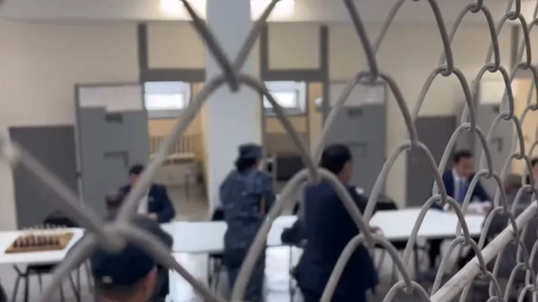 В Казахстане подвели итоги амнистии к 30-летию Конституции РК - изображение 1