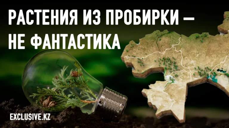 Шеврон намерен превратить Западный Казахстан в зеленый регион - изображение 1