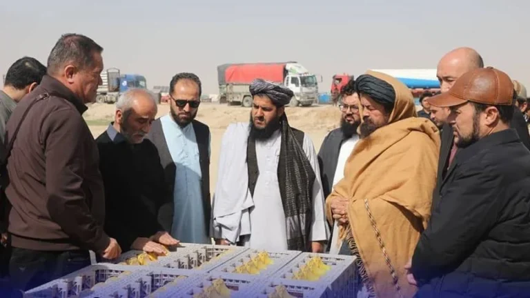 Узбекистан начал геологоразведку месторождений в Афганистане - изображение 1