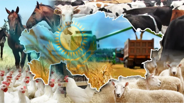 До 1 сентября должен быть разработан новый закон о кооперации в сельском хозяйстве - изображение 1