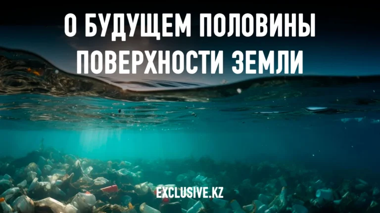 2026: решающий год для защиты океана - изображение 1