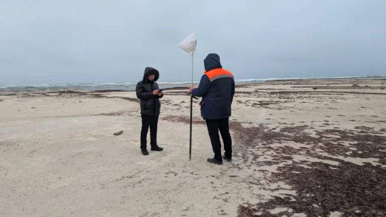 «Казахтелеком» прокладывает опто-волоконный кабель по дну Каспия - изображение 1