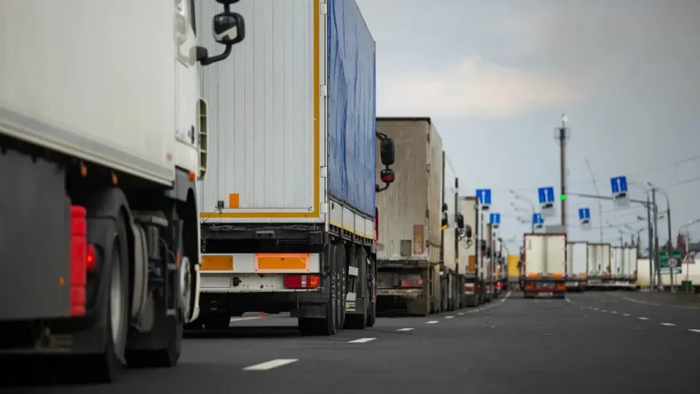 На границе Казахстана с Кыргызстаном наблюдается скопление фур - изображение 1