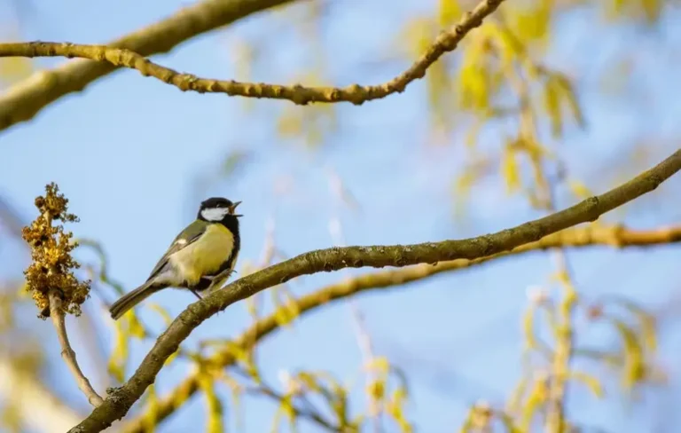 В Казахстане потеплеет до +23 градусов - изображение 1