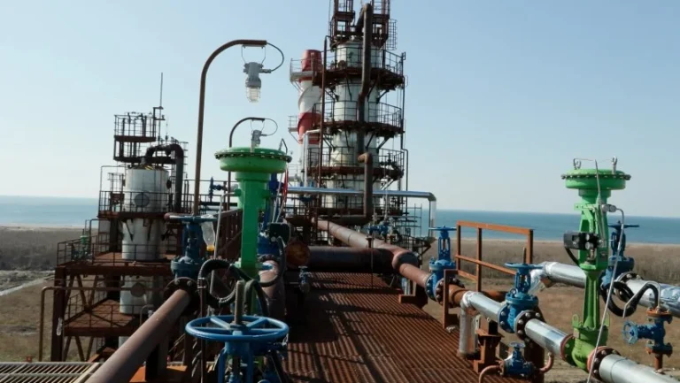 Единственный в Грузии НПЗ отказался от нефти из России - изображение 1