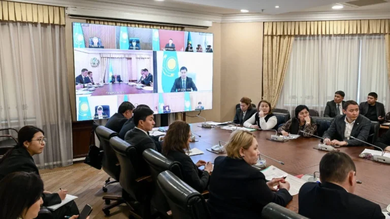 В Казахстане начали разрабатывать программу развития лёгкой промышленности - изображение 1