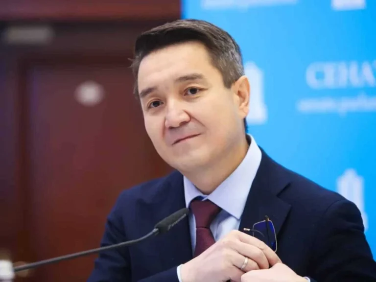 Почему Берик Шолпанкулов покинул Нацбанк Казахстана так внезапно - изображение 1