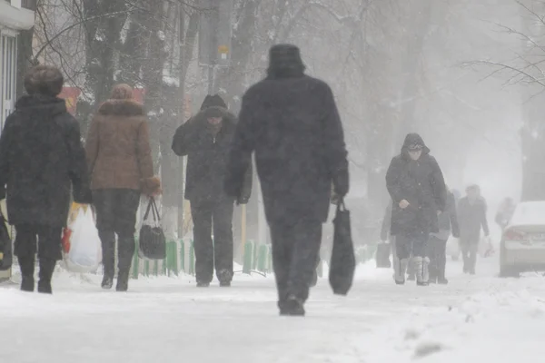 Снег, туман и ветер: синоптики предупредили о погоде 14 марта - изображение 1