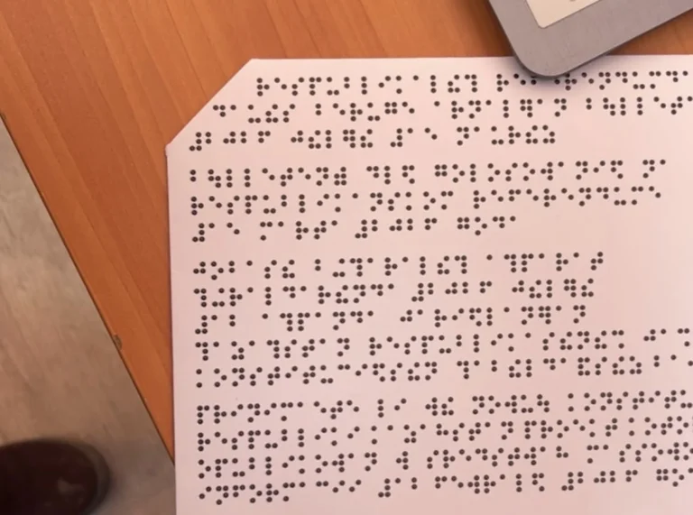 Референдум: незрячий активист не смог прочитать бюллетень Брайля - изображение 1