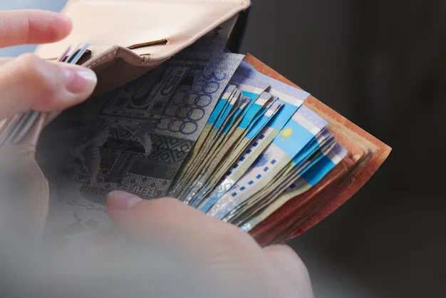 Доходы казахстанцев перестали публиковать в срок - изображение 1