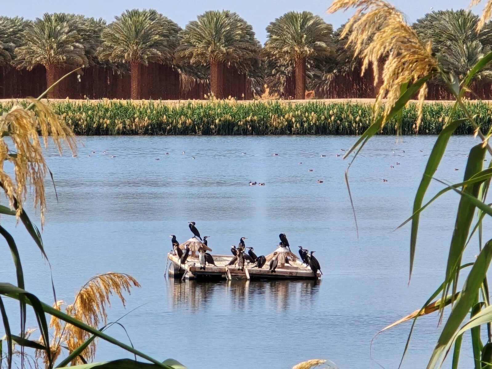 Изображение 4 для Как казахстанцы спасались от войны на Ближнем Востоке – рассказ очевидца